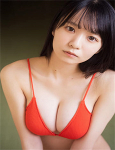 《修道院的故事》