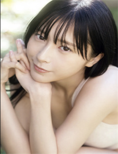 《小小智慧树2012全集播放》