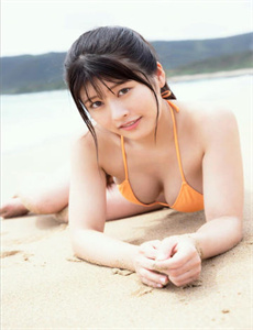 《紫川电视剧》